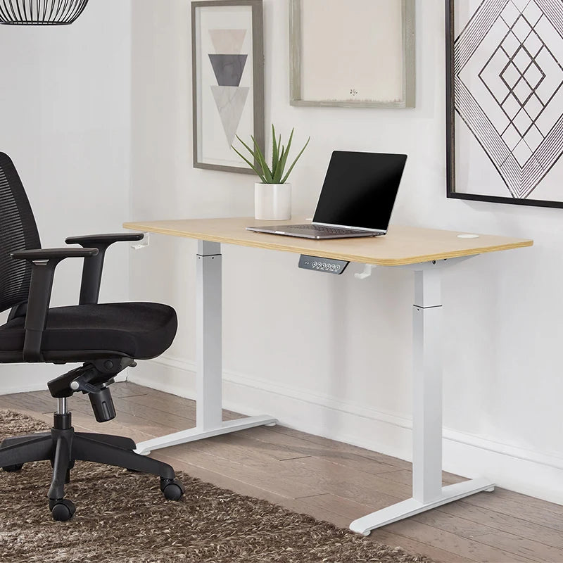Hot Sell Height-adjustable Desk Standing Desk Motion Desk